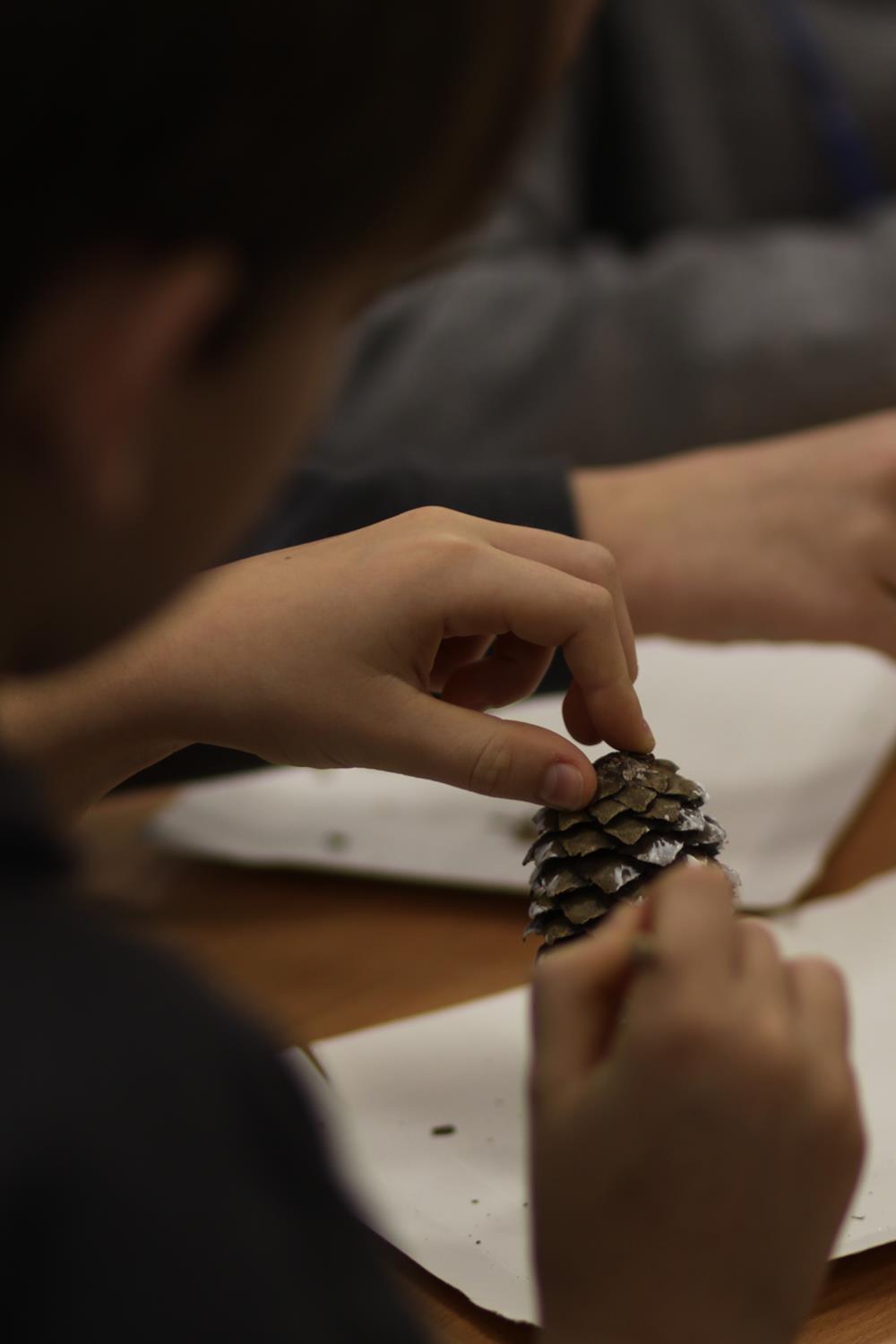 Pachnące szyszki na choince