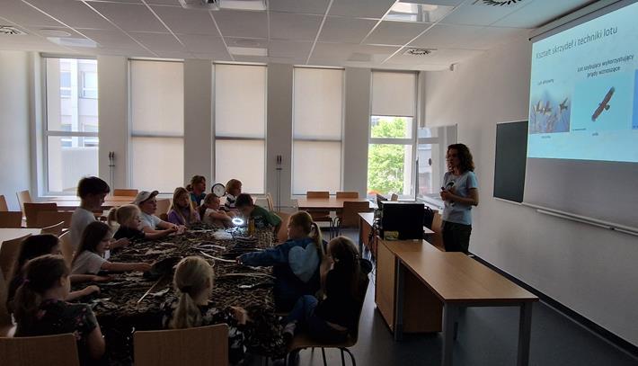 Migracje ptaków - odwieczne misterium przyrody