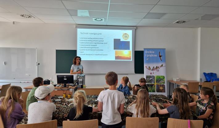 Migracje ptaków - odwieczne misterium przyrody