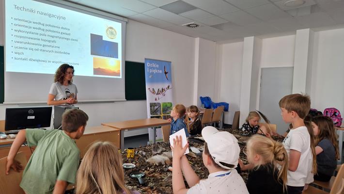 Migracje ptaków - odwieczne misterium przyrody