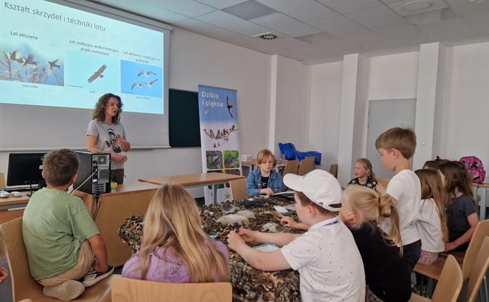 Migracje ptaków - odwieczne misterium przyrody