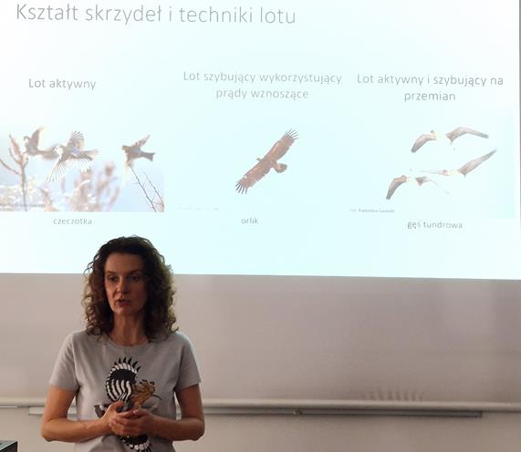 Migracje ptaków - odwieczne misterium przyrody