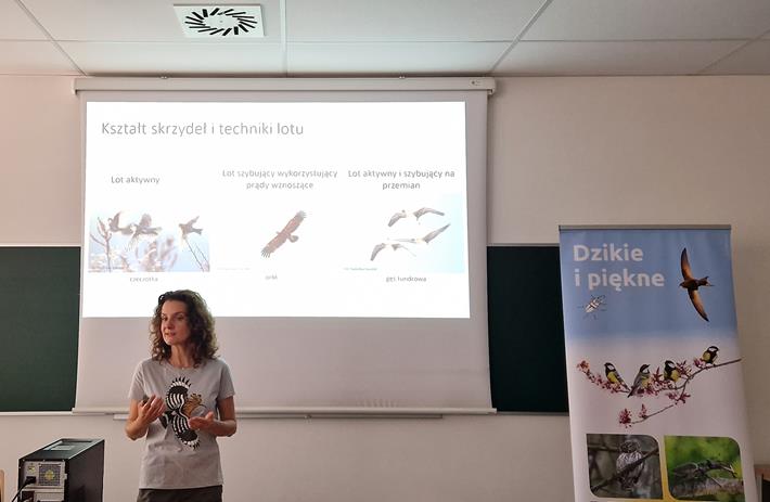 Migracje ptaków - odwieczne misterium przyrody