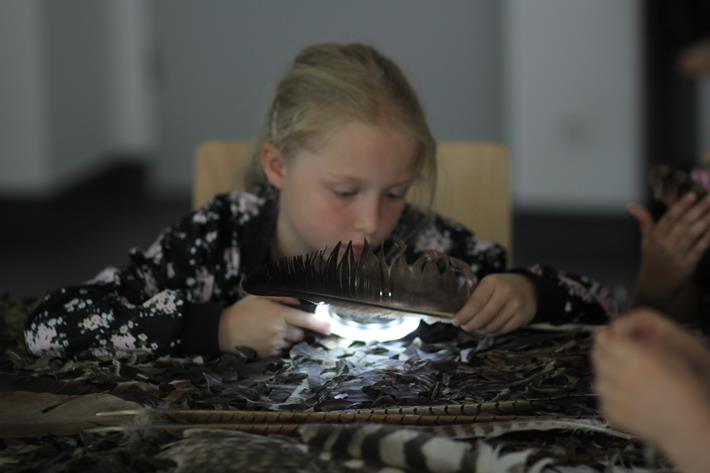 Migracje ptaków - odwieczne misterium przyrody