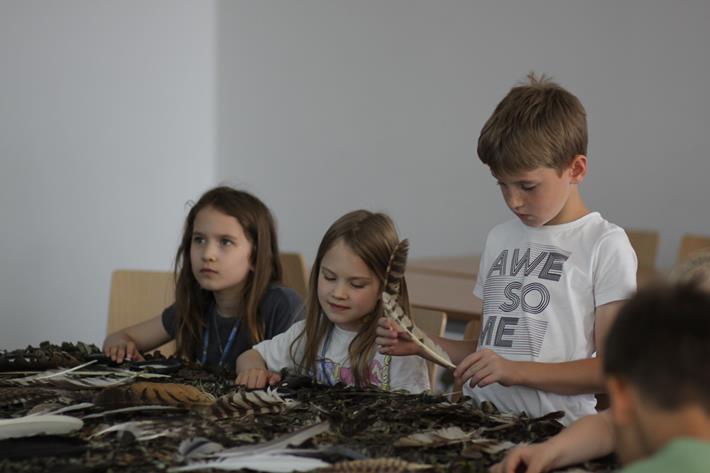 Migracje ptaków - odwieczne misterium przyrody