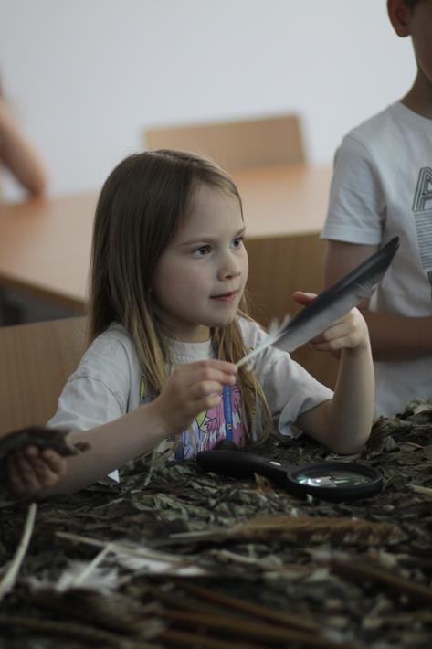 Migracje ptaków - odwieczne misterium przyrody