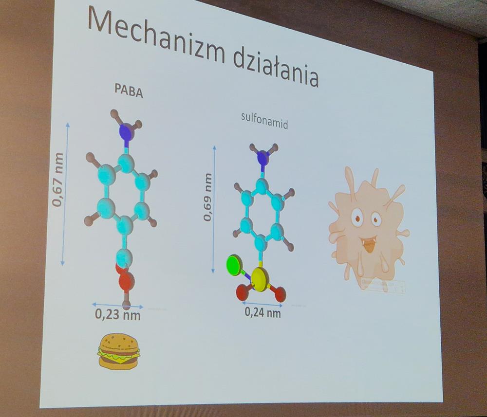 Skąd się biorą leki