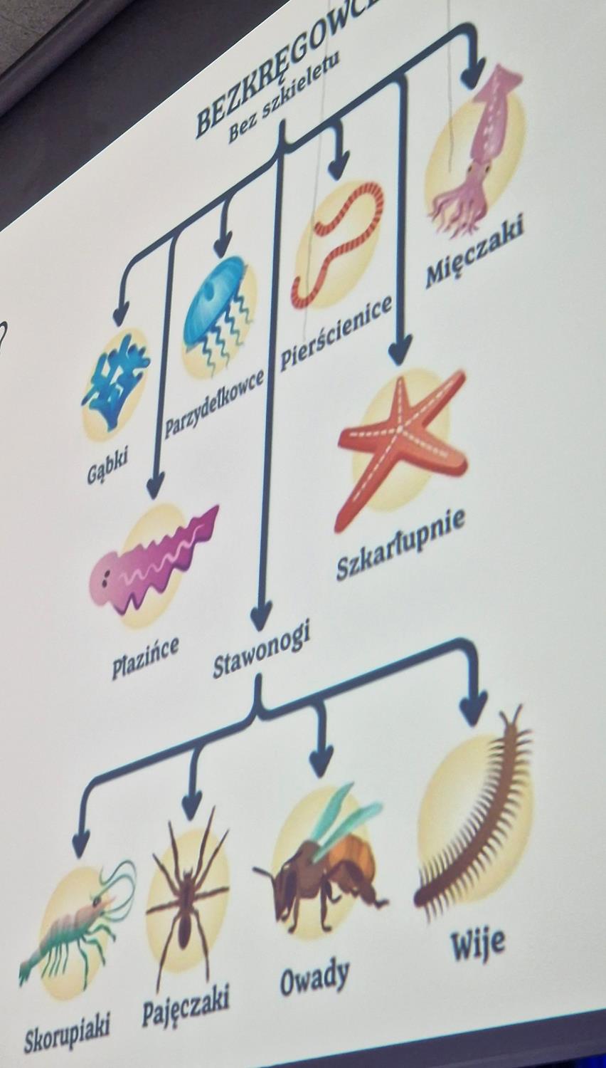 część artystyczna