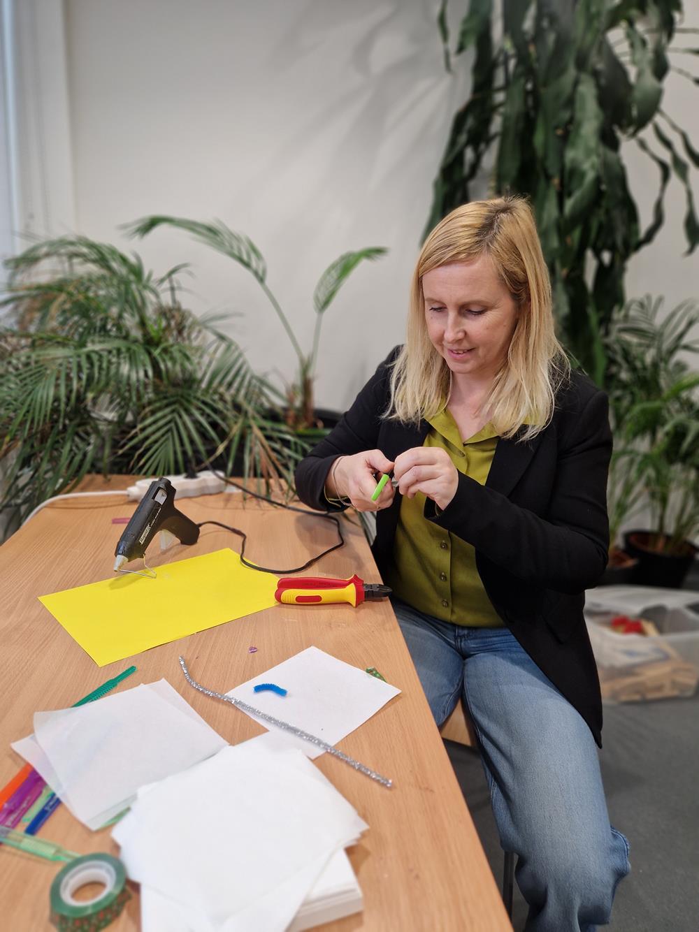 Budujemy bristlebota