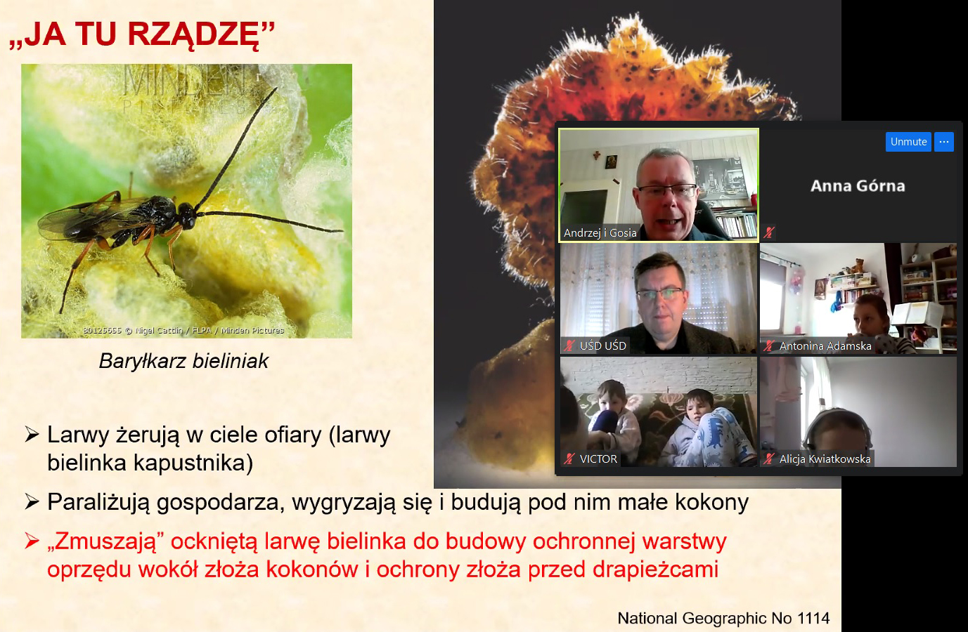 Hakerzy w świecie zwierząt