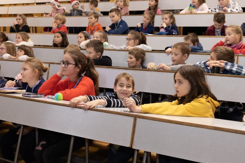 zajęcia Czego człowiek może nauczyć się od zwierząt?