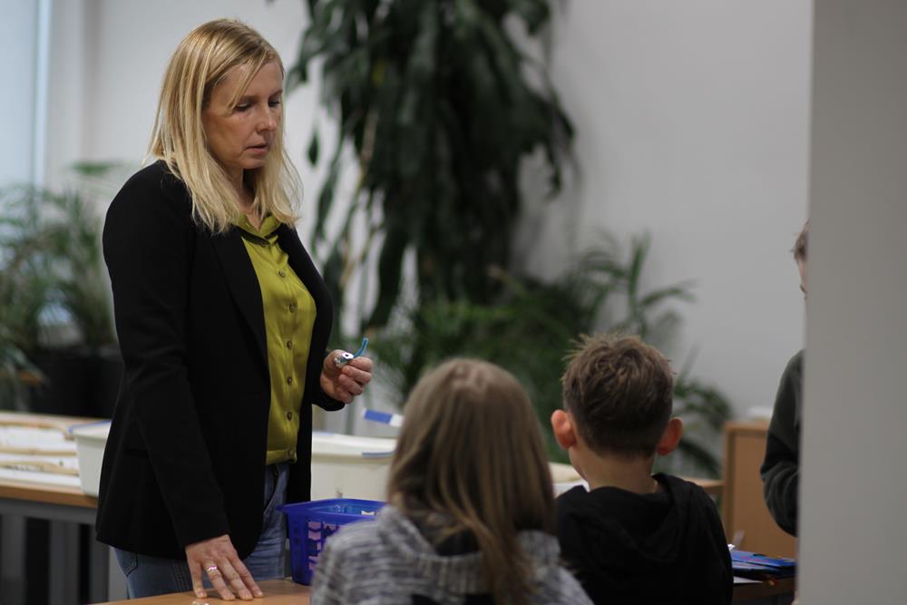 Budujemy bristlebota