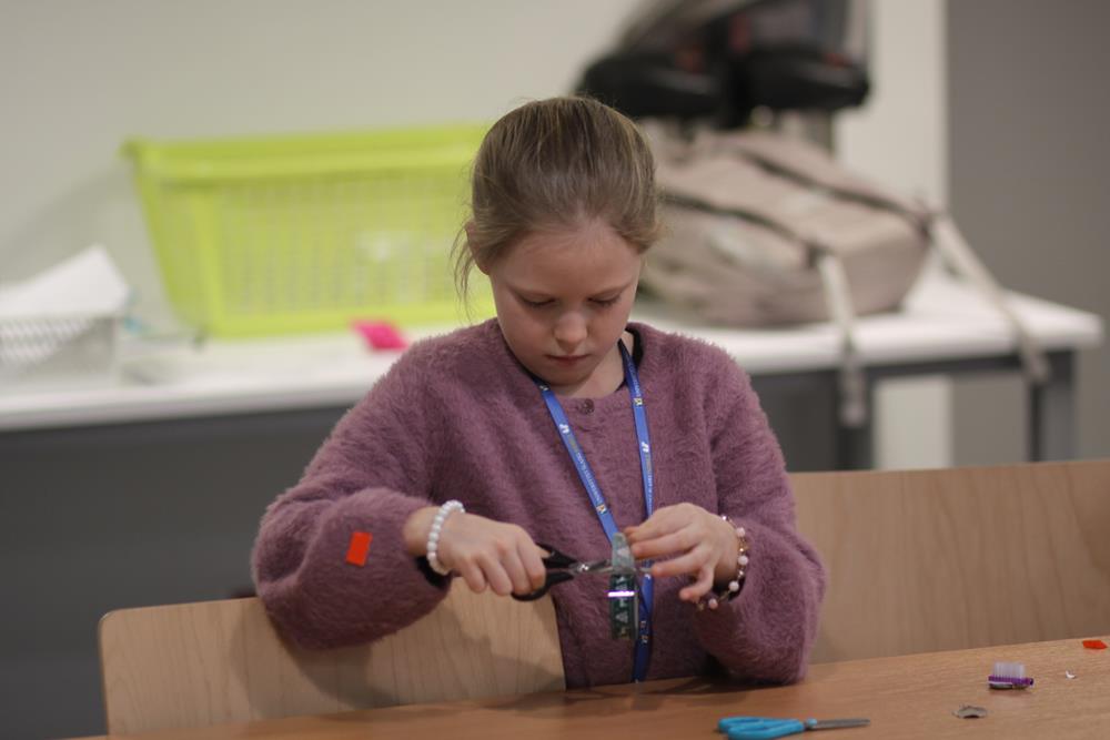 Budujemy bristlebota