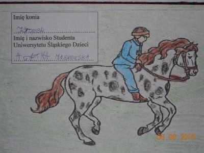 zd03.d.jpg