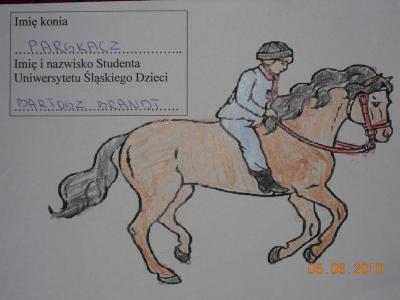zd04.d.jpg